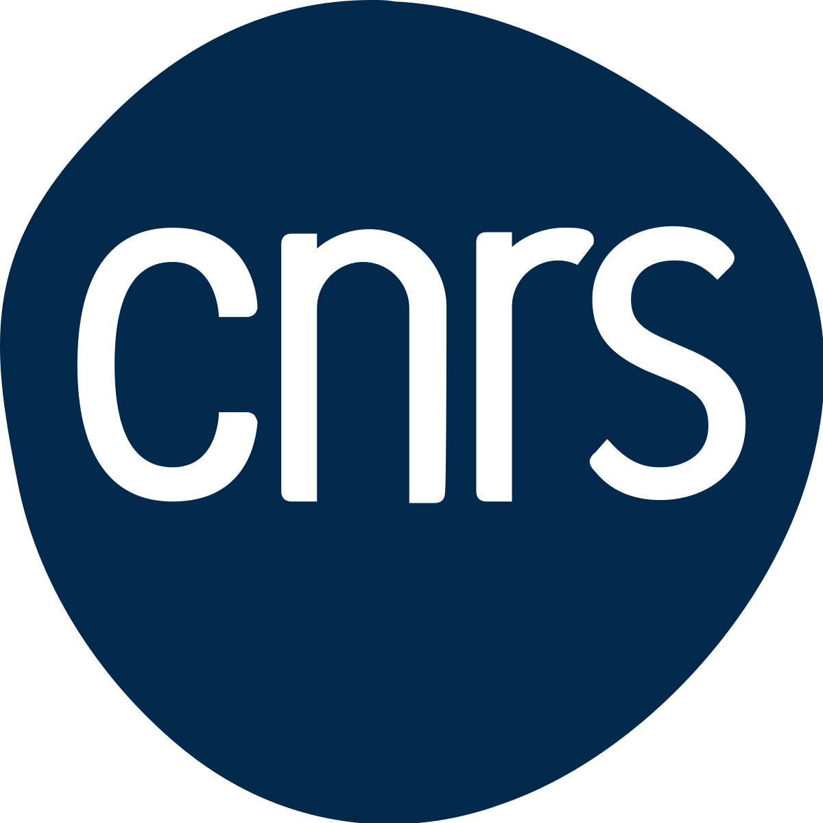 French National Centre for Scientific Research (CNRS)